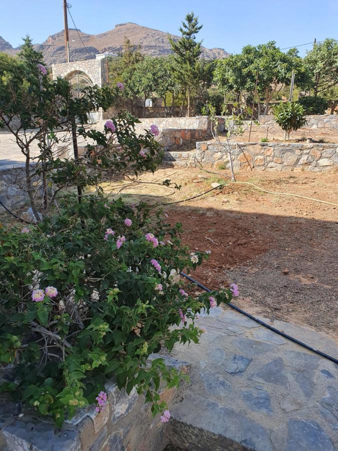 Tsoútsouros Villa Petrino מראה חיצוני תמונה